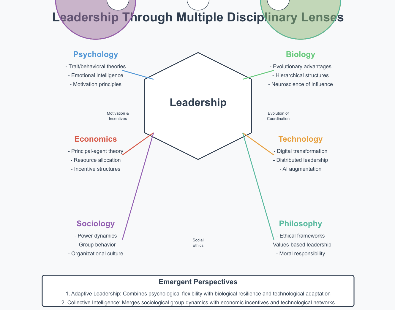 Leadership Across Disciplines